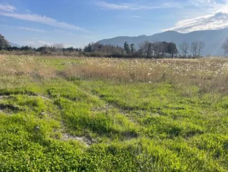 6800 M2 Land For Sale In Dalyan With 5% Residential Zoning