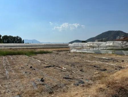 1462M2 Zoned Land For Sale In Ortaca Ekşiliyurt