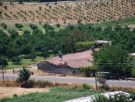 Gökbelde Satılık Arsa Dalyan İztuzu Yoluna Sıfır 7484M2 Göle Sıfır Satılık Arsa