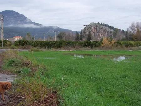 Dalyan Gülpınar Satılık Arsa Dalyan 1,002M2 Satılık Köşenası Satılık Arsa