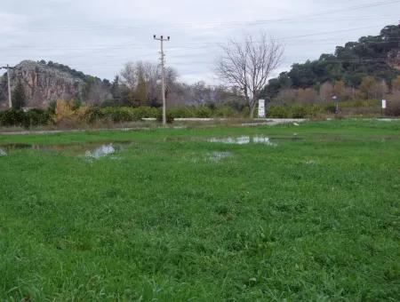 Dalyan Gülpınar Satılık Arsa Dalyan 1,002M2 Satılık Köşenası Satılık Arsa