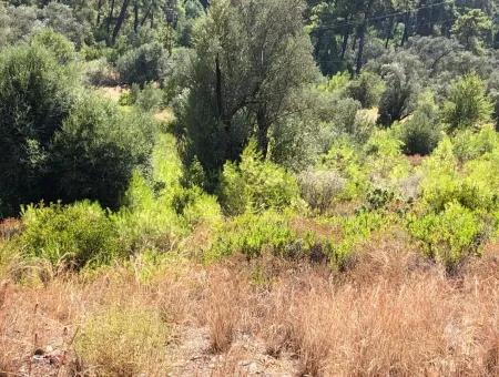 Göcek'de Satılık Arsa Göcekde Turizm İmarlı Deniz Manzaralı Satılık Arsa