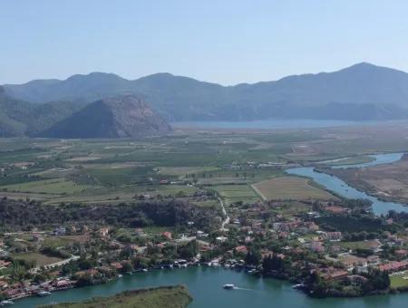 Dalyan Satılık Arsa Dalyan Maraşda 7300M2 %5 İmarlı Satılık Arsa