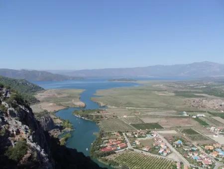 Dalyan Satılık Arsa Dalyan Maraşda 7300M2 %5 İmarlı Satılık Arsa