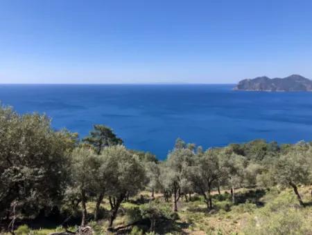 Çandır'da Deniz Manzaralı Satılık Arazi