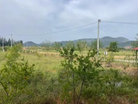 Dalyan'da 6500M2 Satılık Tarla